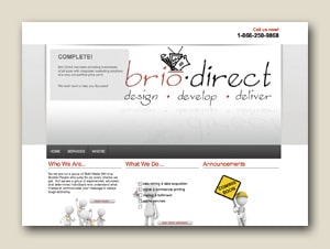 Brio Direct image